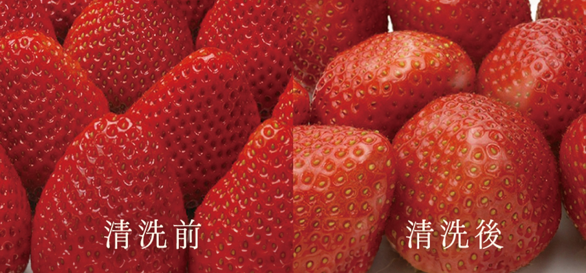 手洗草莓，沒有農藥殘留，才能大口安心吃的草莓鮮奶油蛋糕