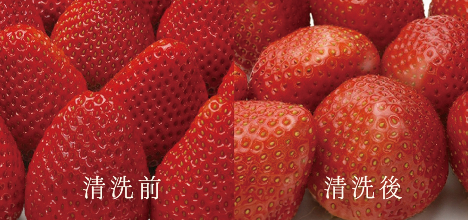 層層的把關 就是為了讓每一個顧客 從小朋友到老長輩 都能安心吃草莓蛋糕!