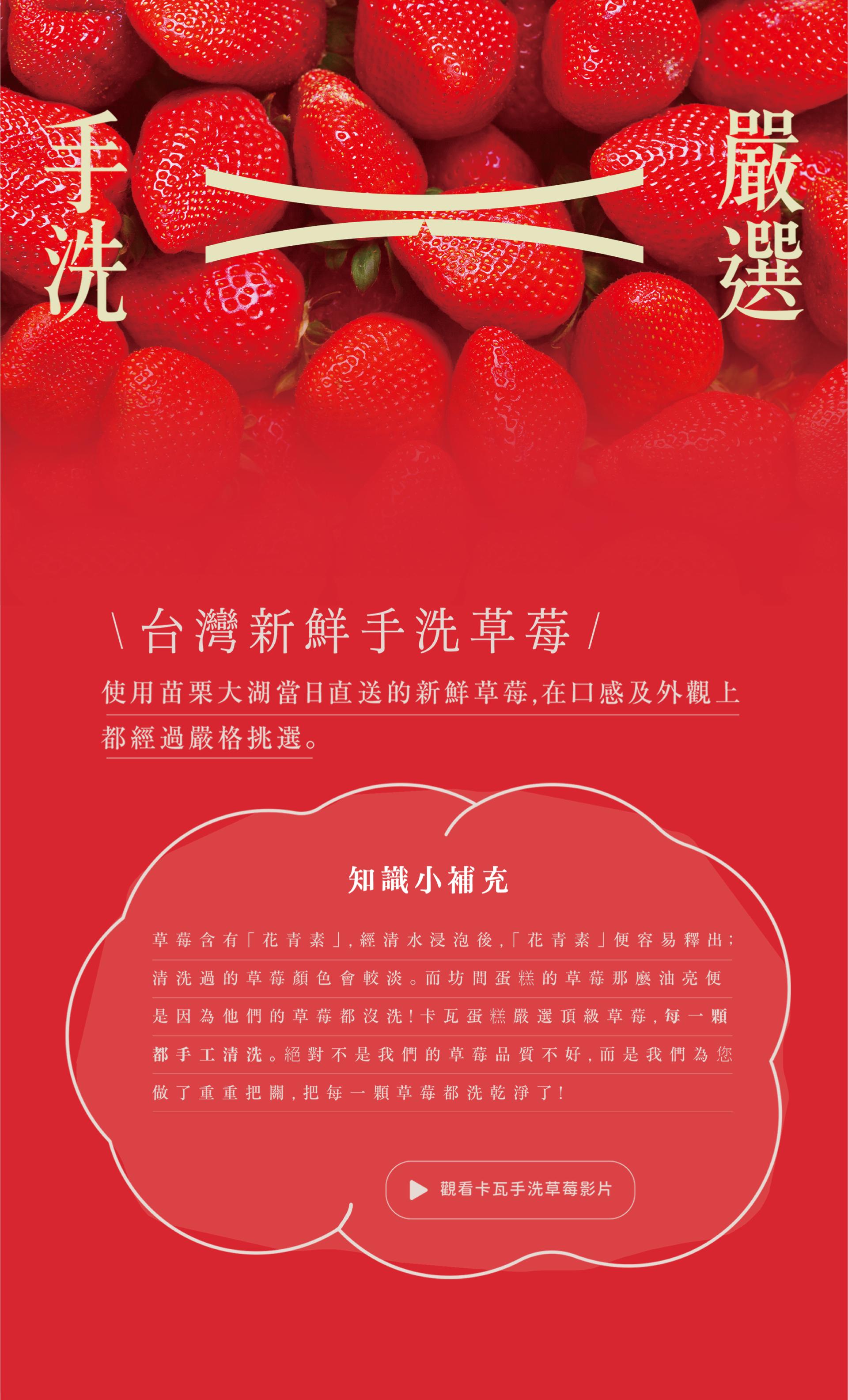 卡瓦蛋糕台灣新鮮水洗草莓說明